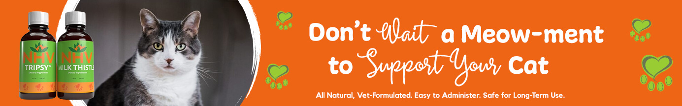 Don't Wait a Meow-ment to Support Your Cat