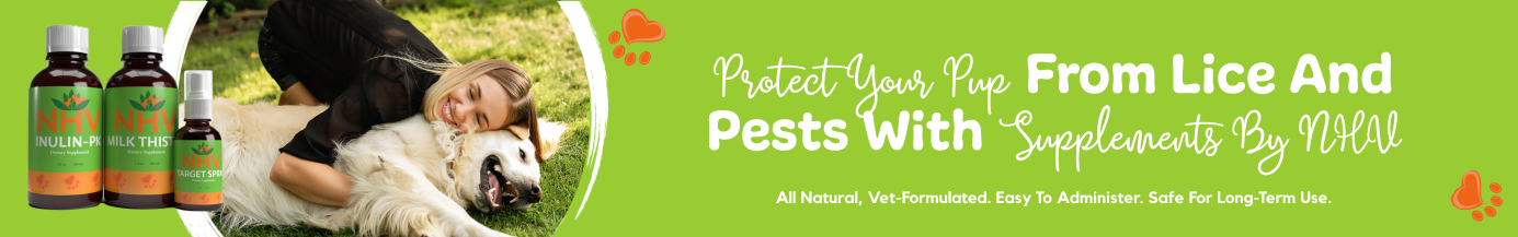 Lice Kit for Dogs