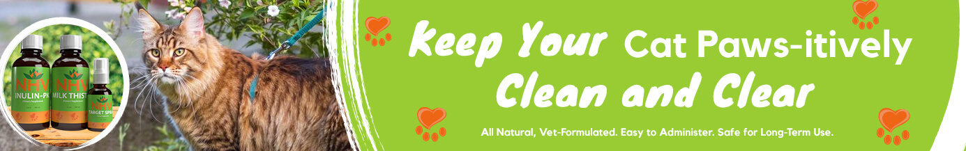 Keep You Cat Paws-itively Clean and Clear