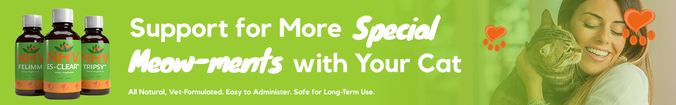 Support for More Special Meow-ments with Your Cat