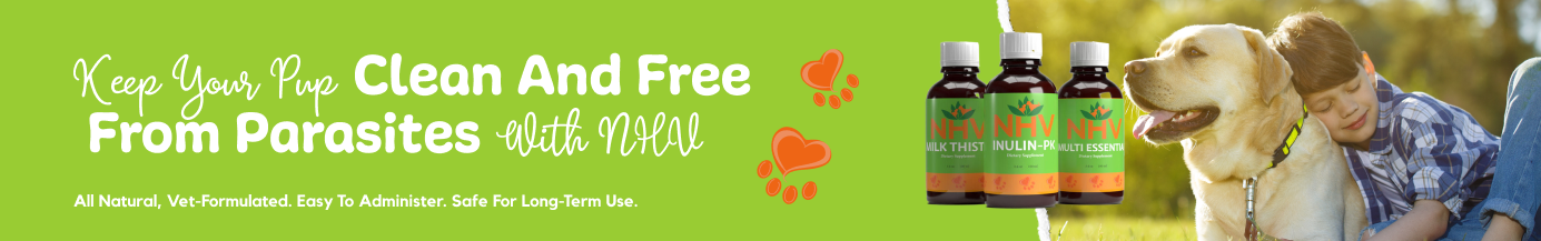 Parasites Kit for Dogs