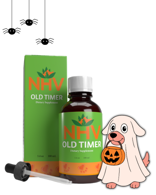 Old Timer for dogs Old Timer for dogs