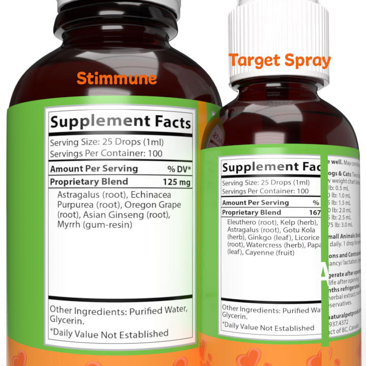 Flea Bites on Dogs and Cats | NHV Natural Flea Essentials Kit