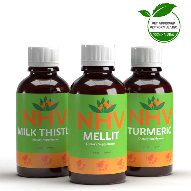 NHV Pancreas Imbalance Kit - Natural Pet Health Support
