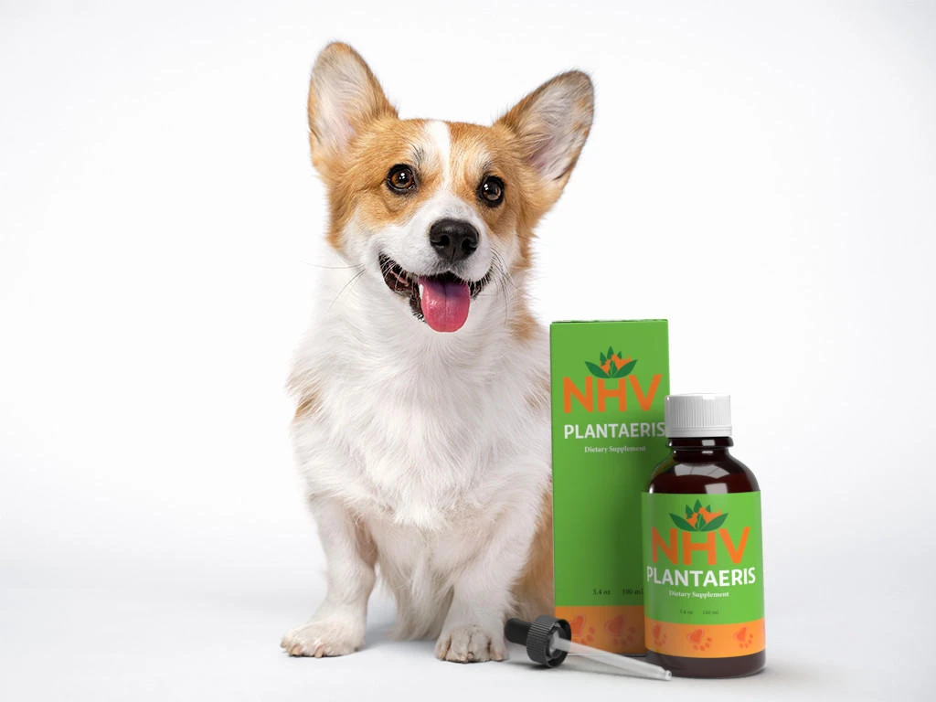 Plantaeris for Pets - Support for Diarrhea