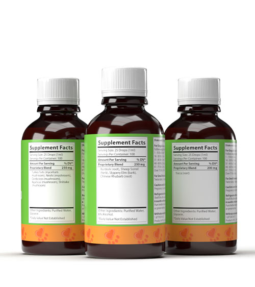 Osteosarcoma Super Support Kit Osteosarcoma Super Support Kit