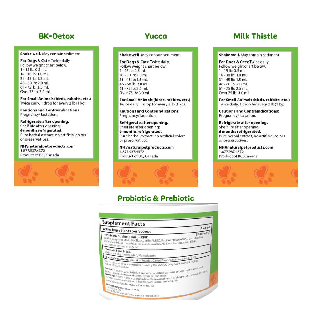 Post-Op Kit Ingredients  Post-Op Kit Ingredients