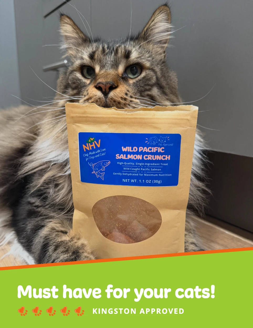 Kingston, a Maine Coon, with NHV freeze-dried salmon treats, five paw-print rating and the caption "Kingston: MUST HAVE for your cats!"