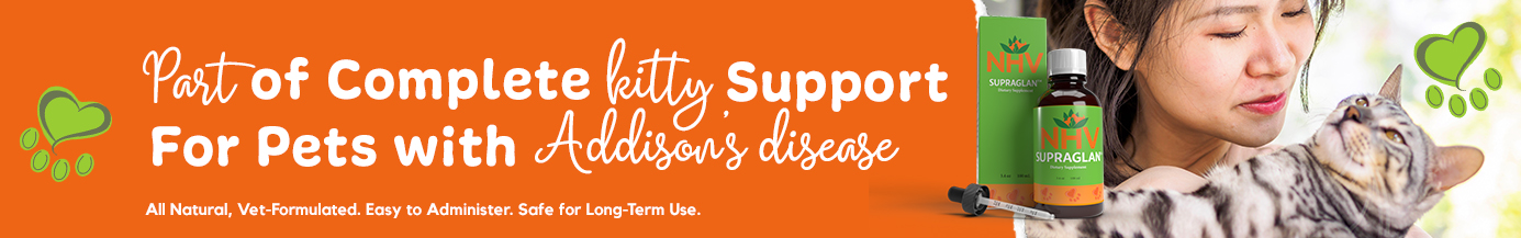 5.-addison-s-disease.jpg 5.-addison-s-disease.jpg