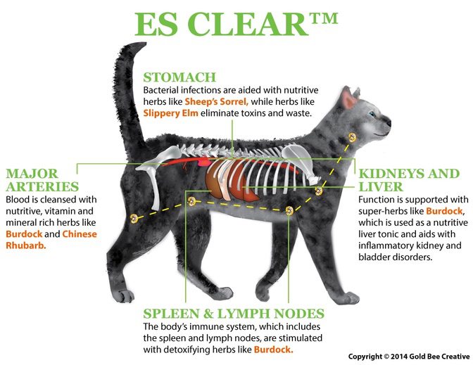 es-clear-cat-daigram-op.jpg