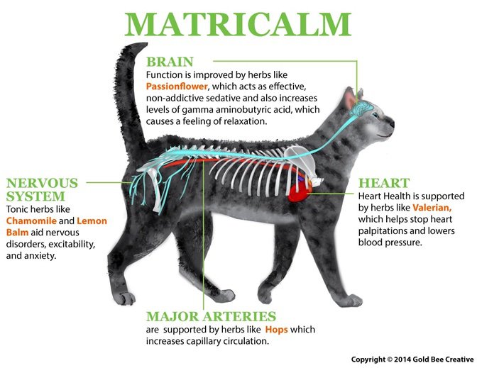 mattricalm-cat-diagram-op.jpg