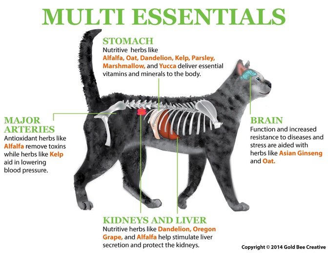 Multi essensielle kattevitaminer