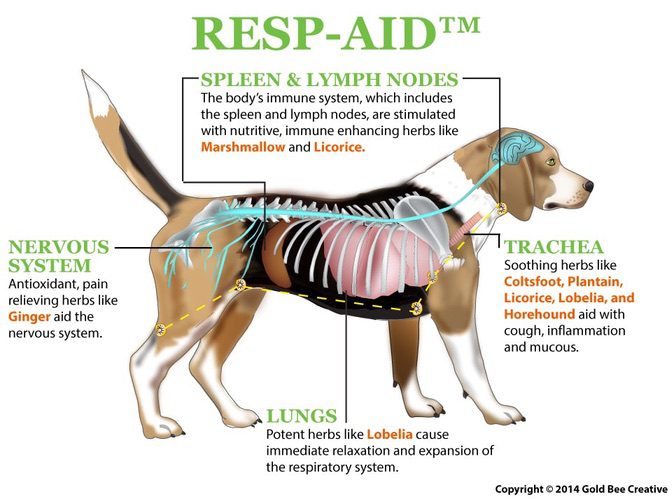 Resp hjälpmedel för luftvägsinfektion hos hund