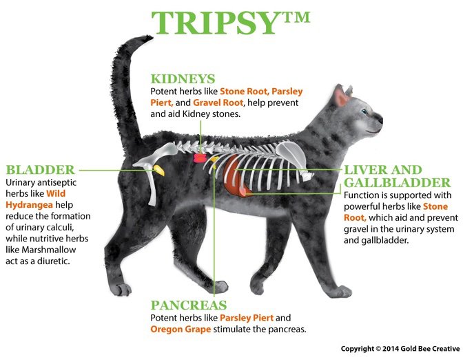 Tripsy voor katten