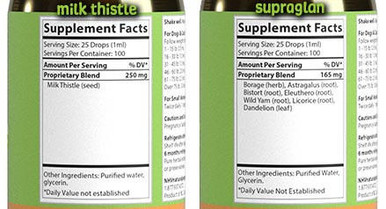 Addison’s Disease Essential Support Kit