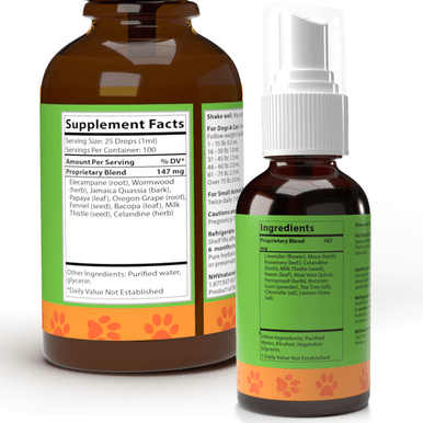 Lice Essentials Kit