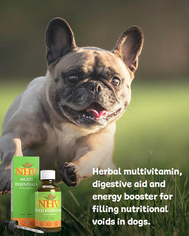 Multi Essentials for dogs