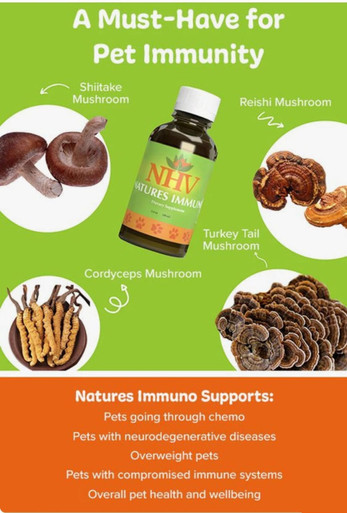 Natures Immuno For Dogs