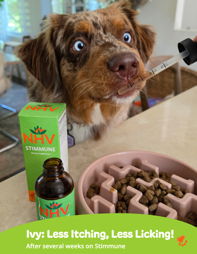 Stimmune for dogs