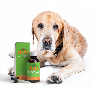 Old Timer – Support for Senior Pets