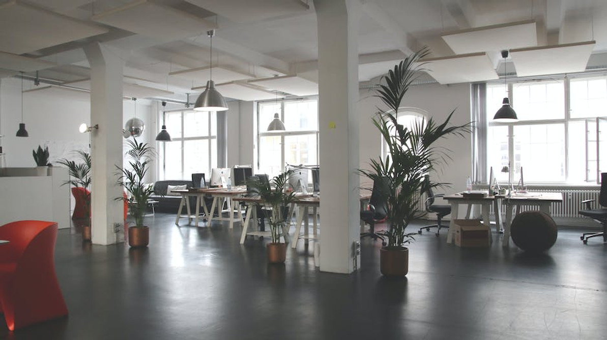 Improving Indoor Air Quality in the Office: Effective Solutions