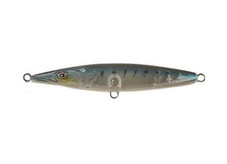 Xorus Asturie 150 Anchovy