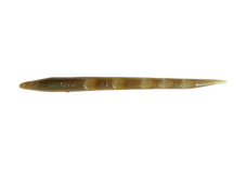 Got Stryper Pintail 7 Inch Sandeel Got Stryper Pintail 7 Inch Sandeel