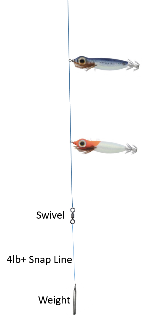 squid jig rig