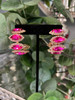 House of Tinkas Pink Jewel Hoops