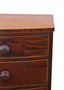 Antique 19th Century Mahogany Bow Front Chest of Drawers- Fine Quality by Gillows
