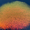Chroma FX Pigment - 04