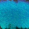 Chroma FX Pigment - 05