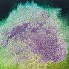 Pastel Aurora Pigment - 06
