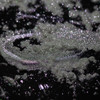 Aurora Ice Pigment - 06