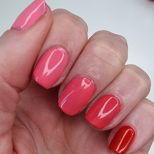 PROCOLOR - D&C Red #6 | Glitter Unique PROCOLOR - D&C Red #6 | Glitter Unique