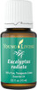 Eucalyptus Radiata Essential Oil 15 ml - Young Living 