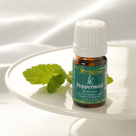Peppermint Essential Oil 15ml - Young Living