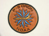 NOAA P-3 Orion Aircraft Patch