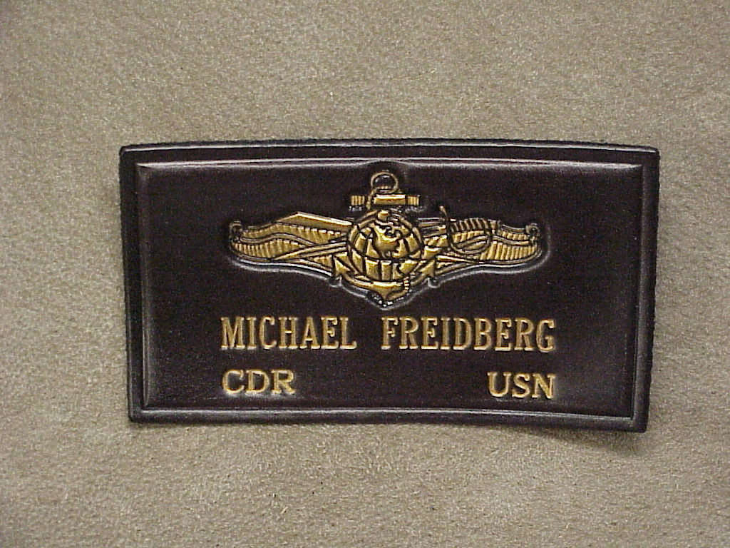 USN INFO WARFARE Officer