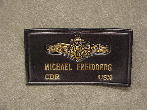 USN INFO WARFARE Officer