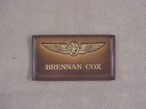 Aviation Physiologist wings