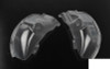 Inner Fender Set for Trail Finder 3 Z-S2139 RC4WD Wells TF3 CLEAR unpainted