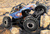 FTX Ravine 1/10th RTR M.O.A. Rock Buggy Crawler FTX5574 4WS