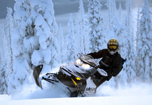 The Three Best Snowmobile Covers