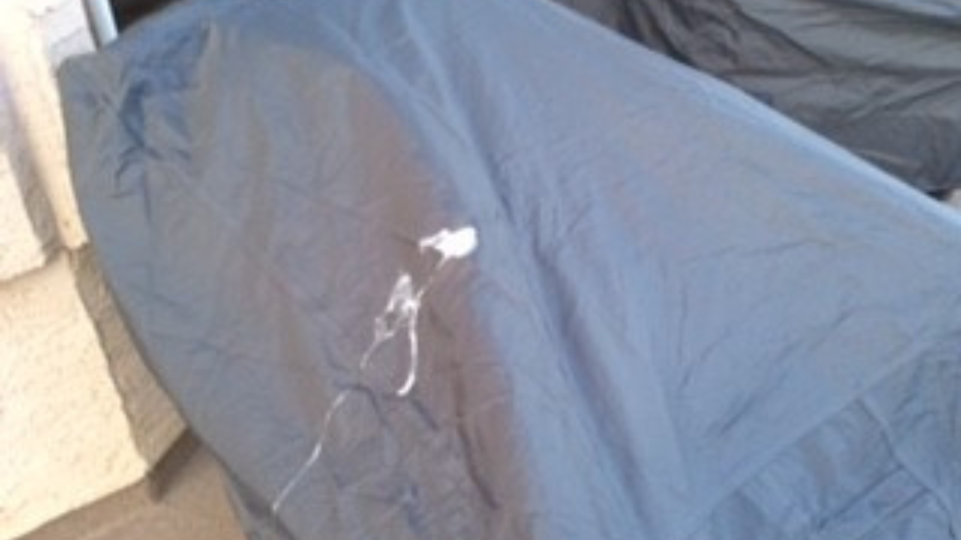 Avalon Patio Chair Covers to the rescue from Bird Poop