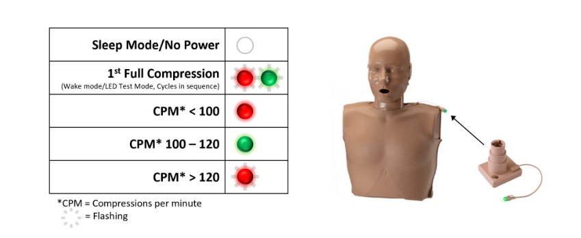 Set Manichini CPR Donna Prestan Professional Female (pelle Chiara - Foto 12