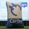 fabrica de inflables publicitarios Caribe Cali