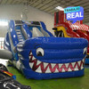Inflable tanque de tiburones para eventos