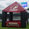 stand feria Coyotes