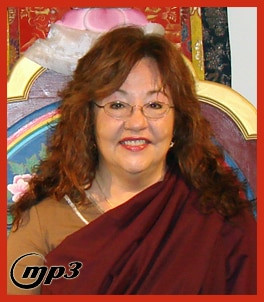 Love and the Long View (How to Maintain the Palyul Blessing)